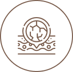 As skin ages, it loses moisture and volume, resulting in a dry, fragile appearance.